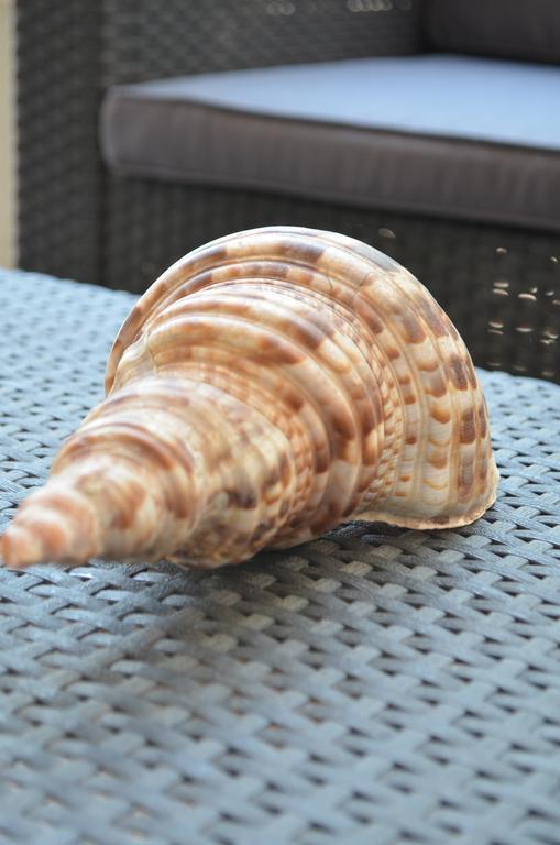 Ammos Beach Γλύφα Εξωτερικό φωτογραφία